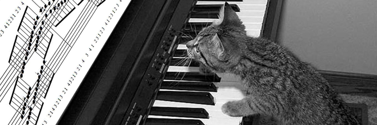 Entraînement en ligne