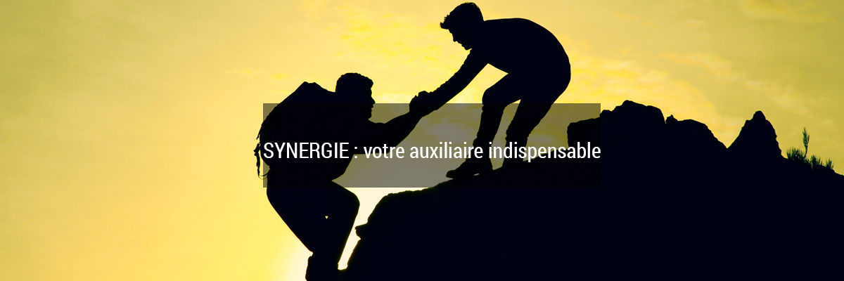 Acoluthos : votre auxiliaire indispensable